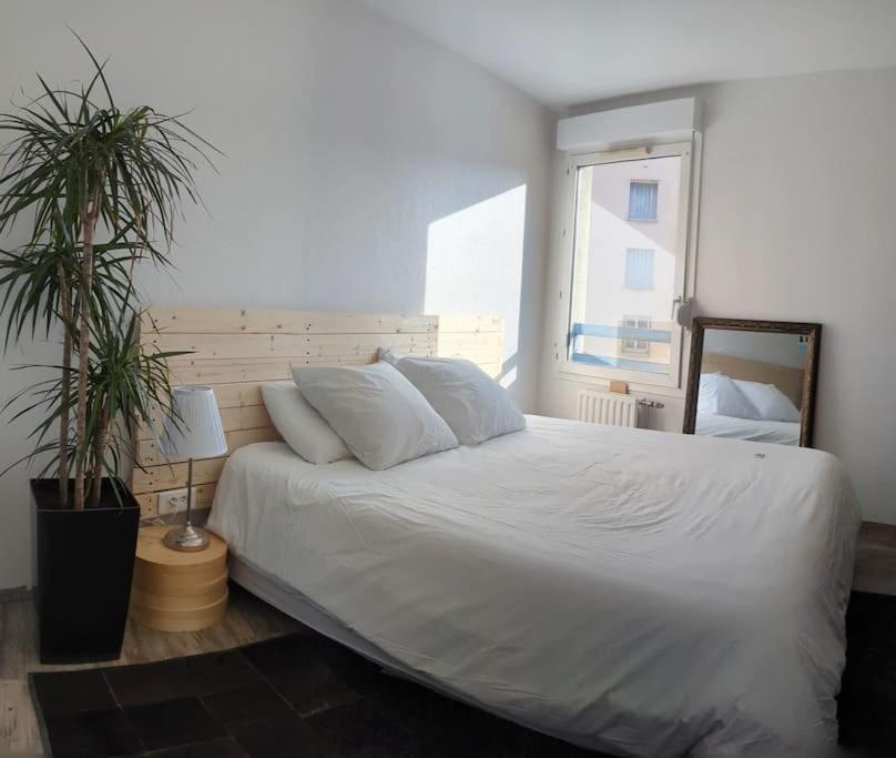 Le Cosy-Chic - T3 Balneo A Villeurbanne / Lyon Extérieur photo